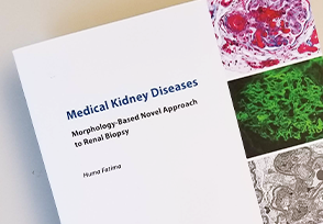 Cover of Medical Kidney Diseases: Morphology-Based Novel Approach to Renal Biopsy